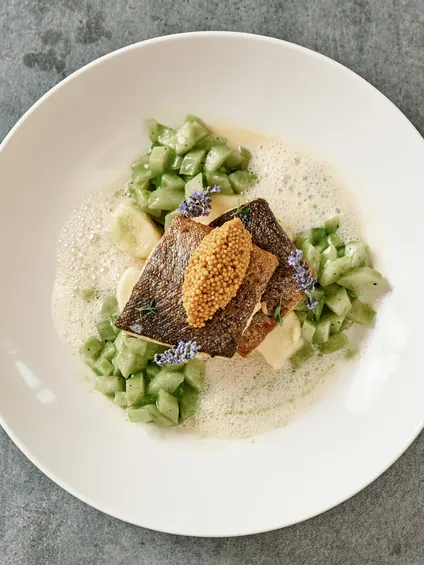 Gourmetgericht mit Fischfilet, Senfkörnern, Gurkenwürfeln und Schaumsauce