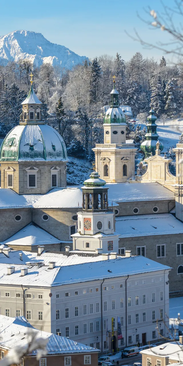dom-winter.jpg