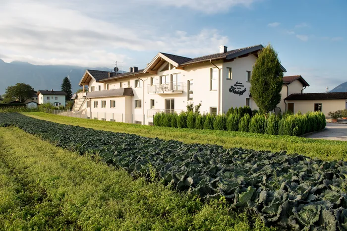 Cabbage field in front of a guesthouse with mountains in the background