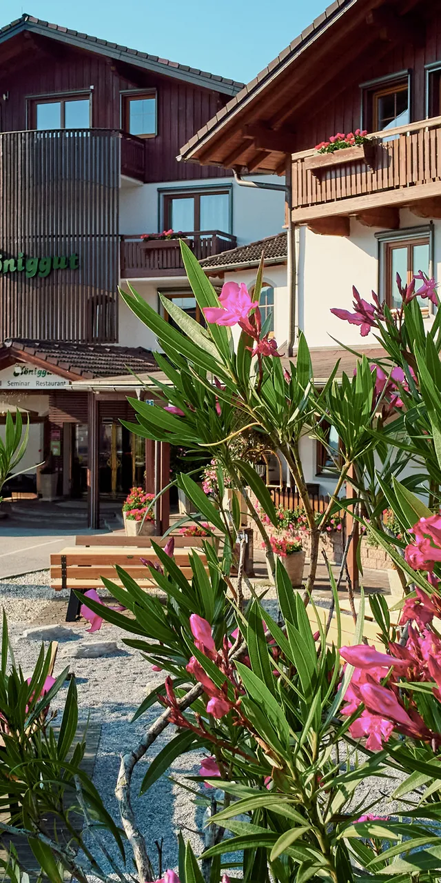 Hotel Königsgut mit blühenden Oleandersträuchern im sonnigen Außenbereich