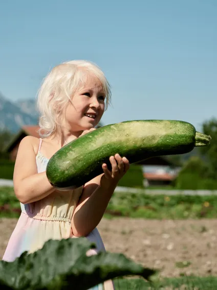 Lächelndes Kind hält große Zucchini im Gemüsegarten an einem sonnigen Tag