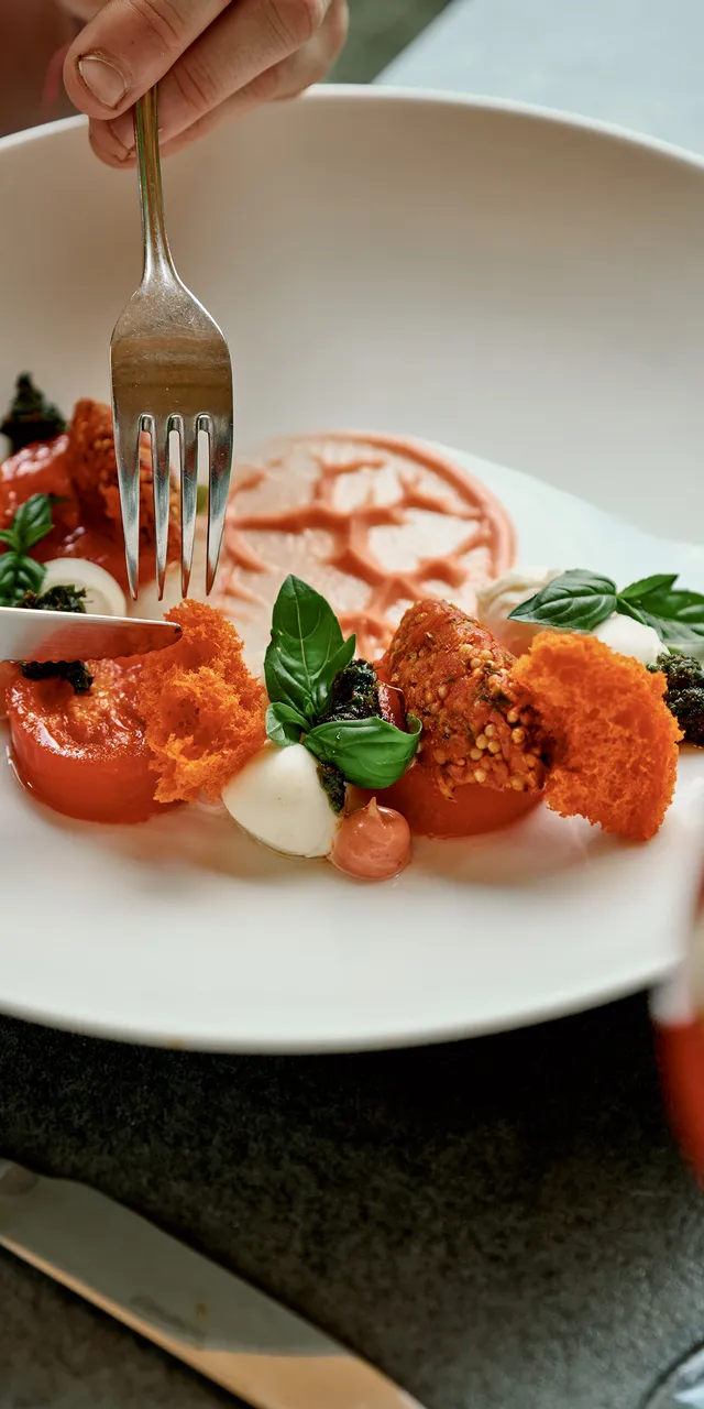 Gourmet-Tomaten-Mozzarella-Salat mit Basilikum und Schaum auf weißem Teller serviert
