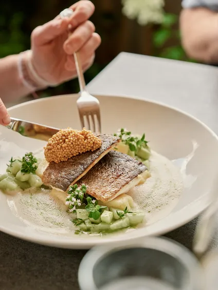 Gourmet fish fillet with mustard seeds, creamy sauce and herbs on a white plate