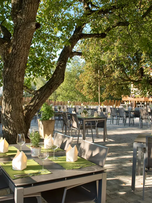 Restaurantterrasse im Freien mit modernen Tischen unter schattigen Bäumen im Sonnenlicht