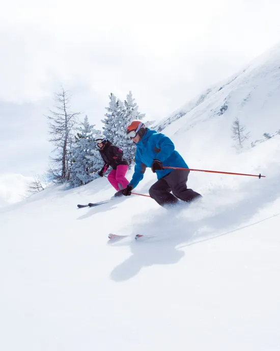 Due sciatori scendono una pista innevata con alberi di pino sullo sfondo