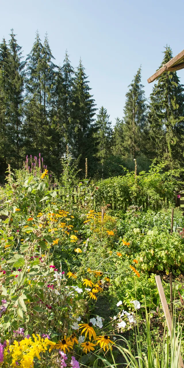 Paar genießt bunten Blumengarten neben traditionellem alpinem Holzhaus